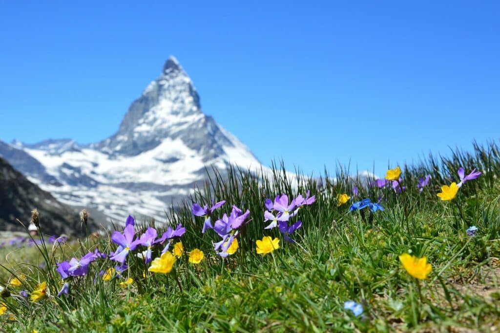 Die atemberaubende Natur der Schweiz